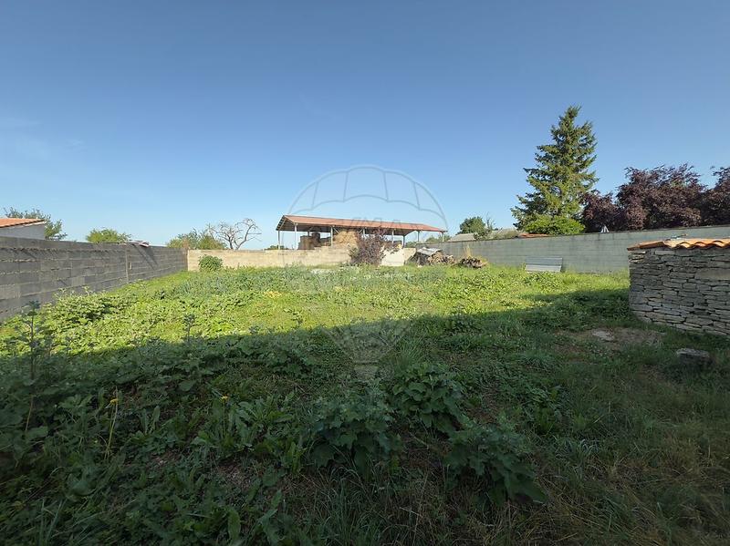 Cave / Box - 309 m²