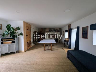 Maison - 335 m² - 10 pièces