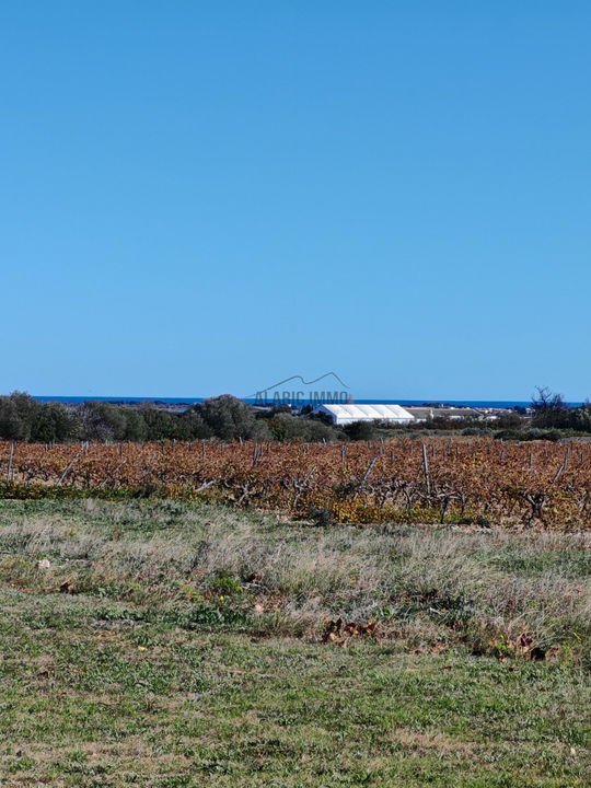 Maison - 123 m² - 5 pièces