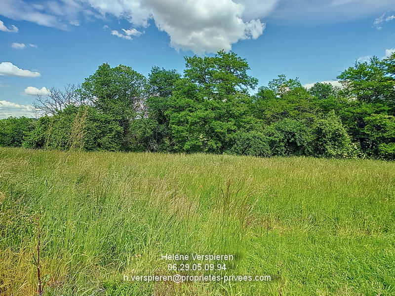 Maison - 217 m² - 10 pièces