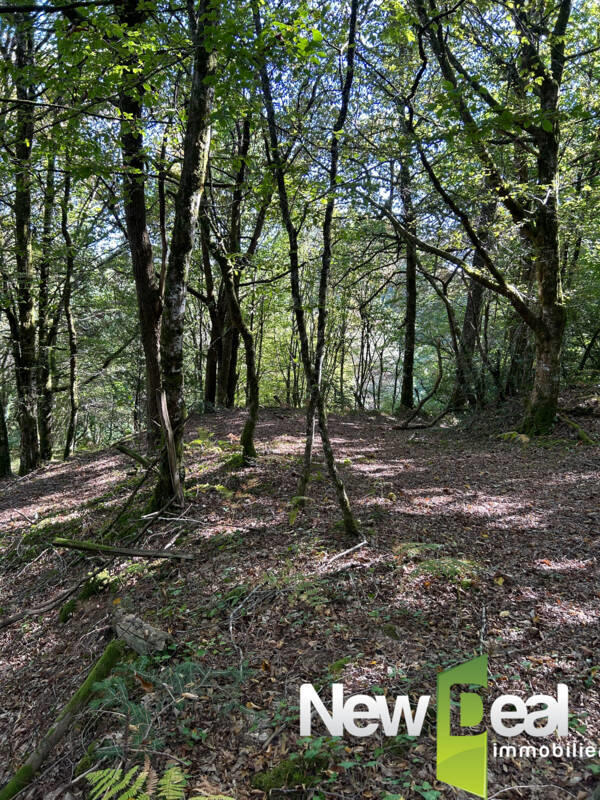 Corps de ferme - 72 m² - 4 pièces