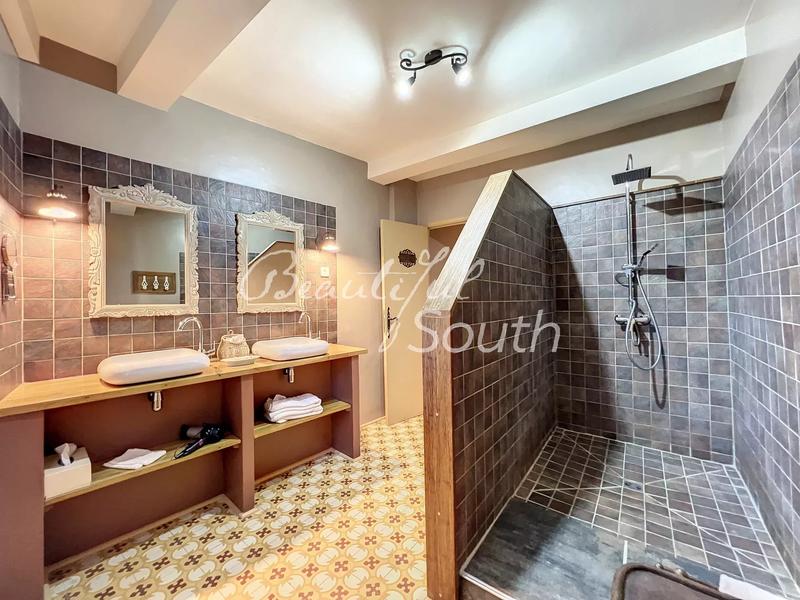 Hôtel particulier - 483 m² - 10 pièces