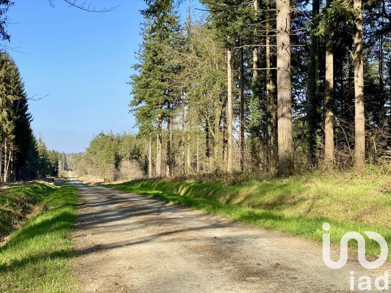 Maison - 67 m² - 2 pièces