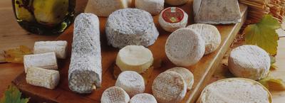 Les Cabris de Manu et Elo