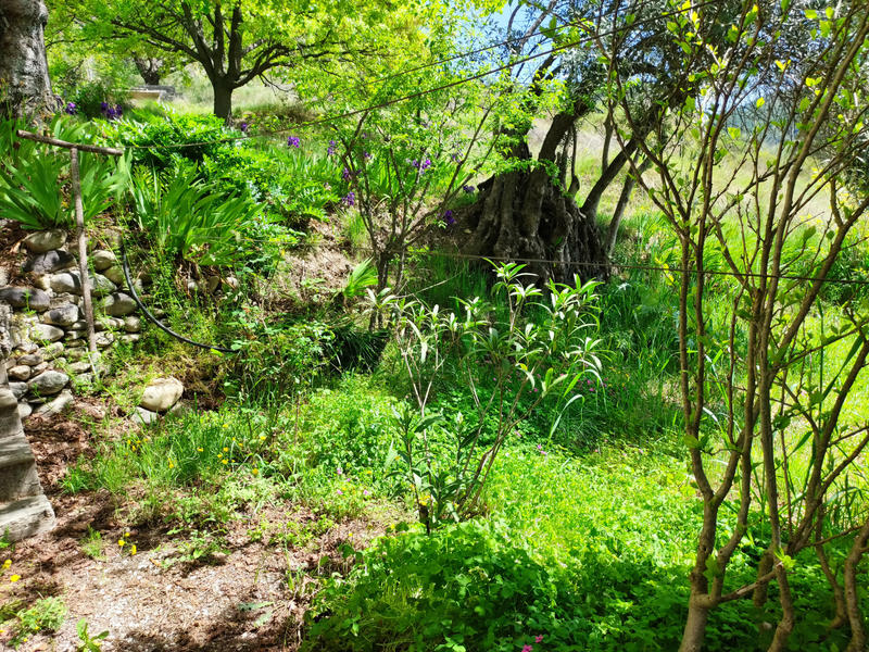 Ferme - 100 m² - 5 pièces