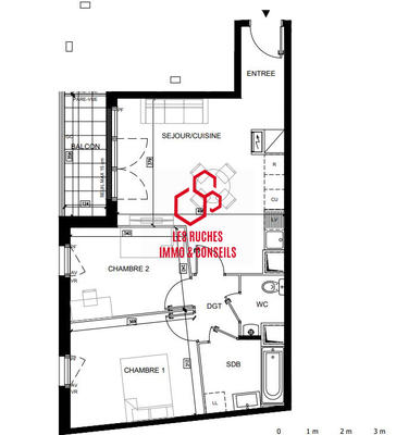 Appartement - 55 m² - 3 pièces