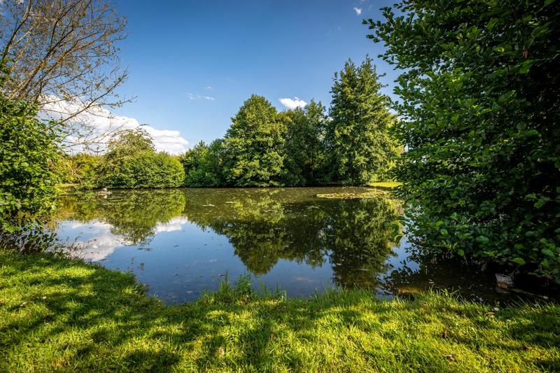 Propriété - 338 m² - 11 pièces