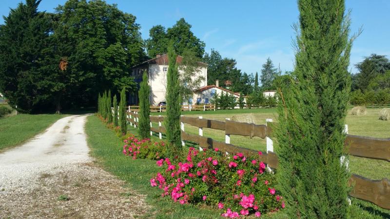 Maison bourgeoise - 450 m² - 9 pièces