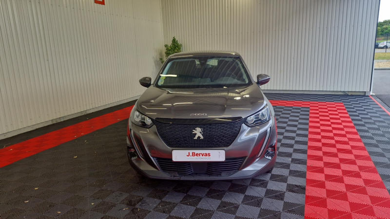 Peugeot 2008 bluehdi 100 ss active business