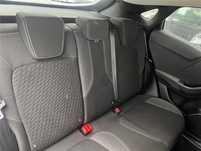 Ford Puma II 1.0 Flexifuel 125 Ch Mhev s&amp;S Bvm6 Titanium