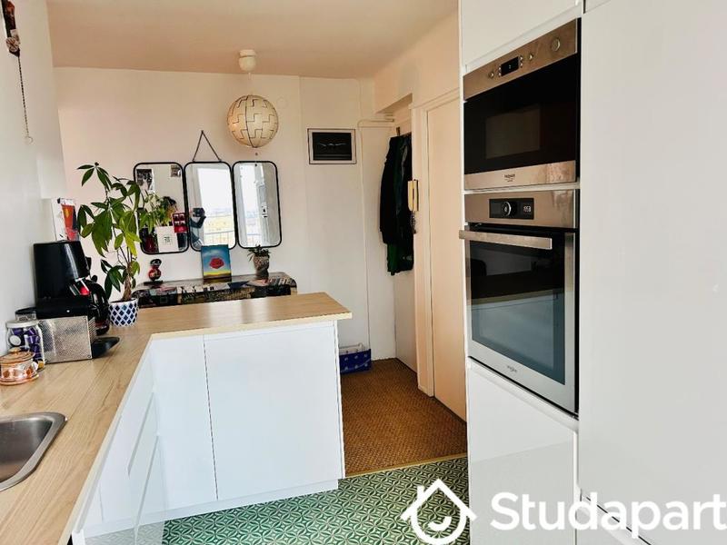 Appartement - 55 m² - 2 pièces