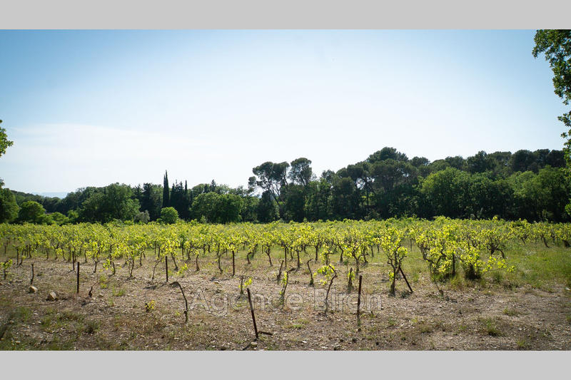 Propriété - 700 m² - 10 pièces