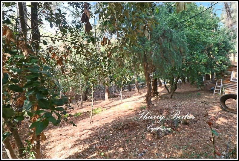 Terrain constructible - 1 200 m²