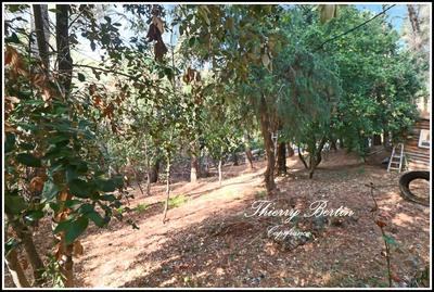 Terrain constructible - 1 200 m²