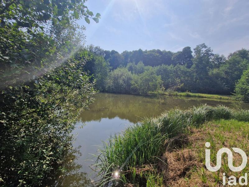 Terrain - 10 000 m²