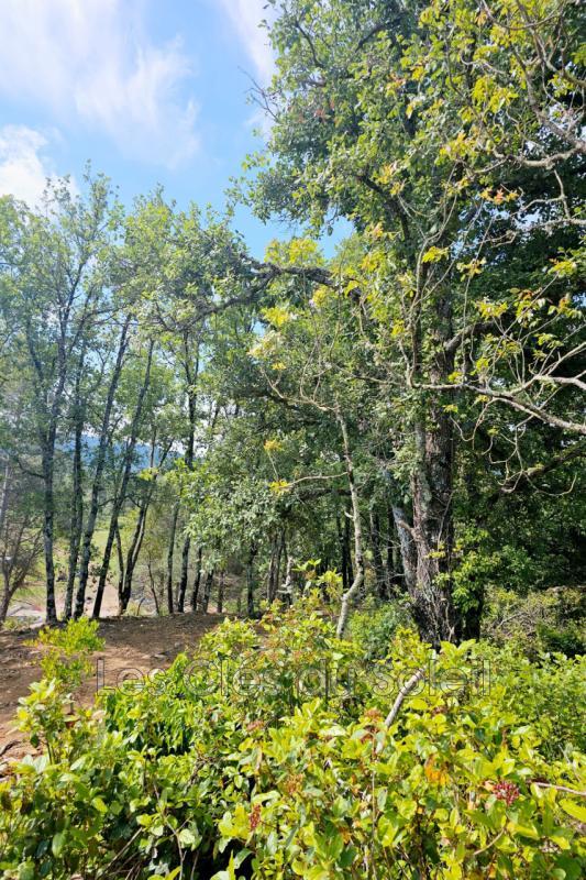 Terrain constructible - 1 100 m²