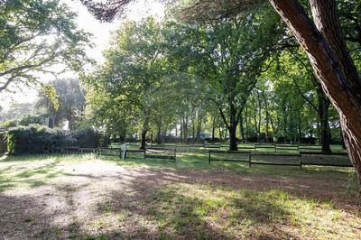 Terrain de loisirs - 6 000 m²