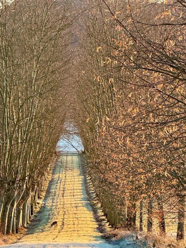 Maison - 365 m² - 8 pièces