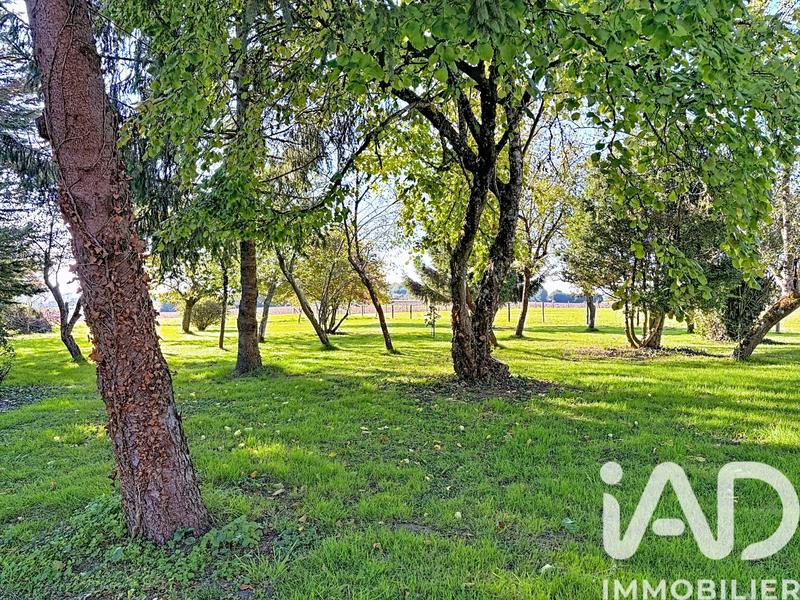 Maison - 113 m² - 5 pièces