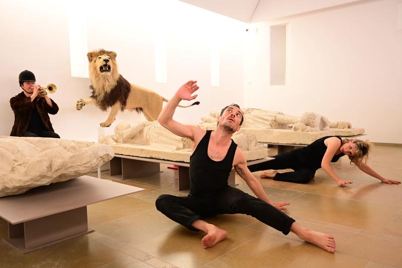 Spectacle "Danse avec les animaux" au musée