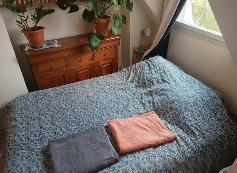 Appartement - 50 m² - 3 pièces