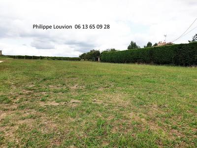 Terrain constructible - 9 900 m²