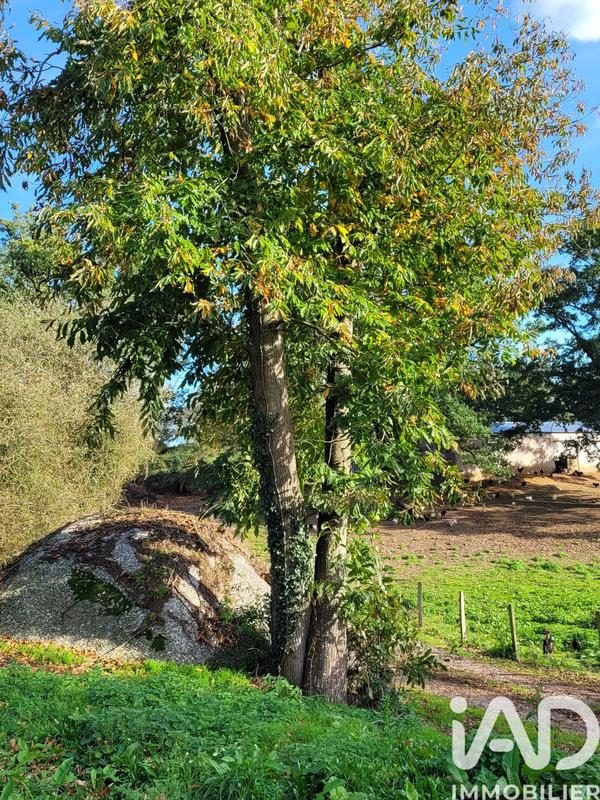 Maison - 151 m² - 8 pièces