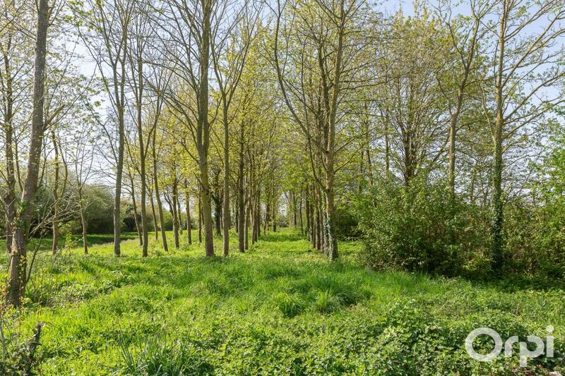 Maison - 141 m² - 5 pièces