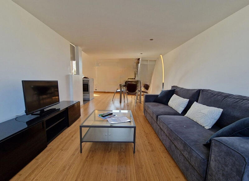 Loft - 52 m² - 2 pièces