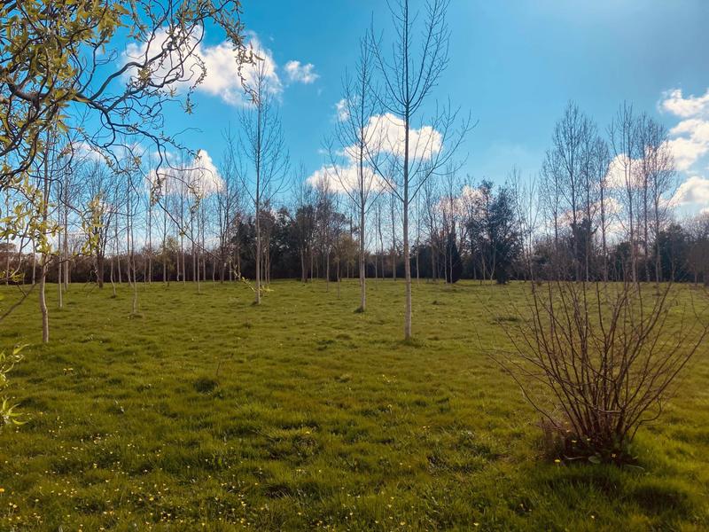Terrain - 5 720 m²