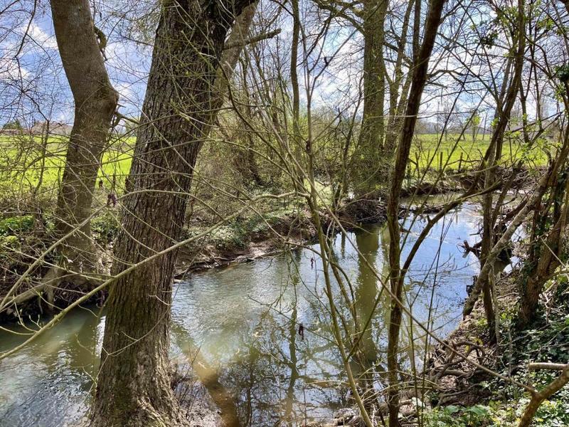 Maison - 279 m² - 6 pièces