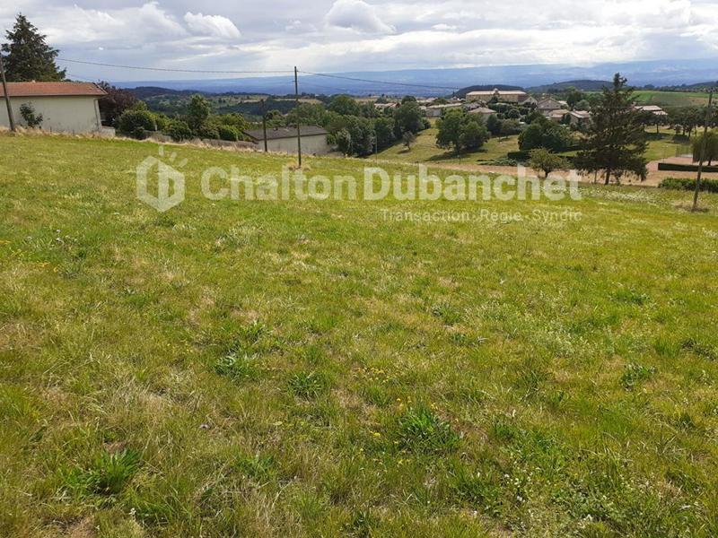 Terrain constructible - 2 700 m²