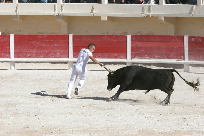 Course Camarguaise avec une école Taurine (Sous réserve)