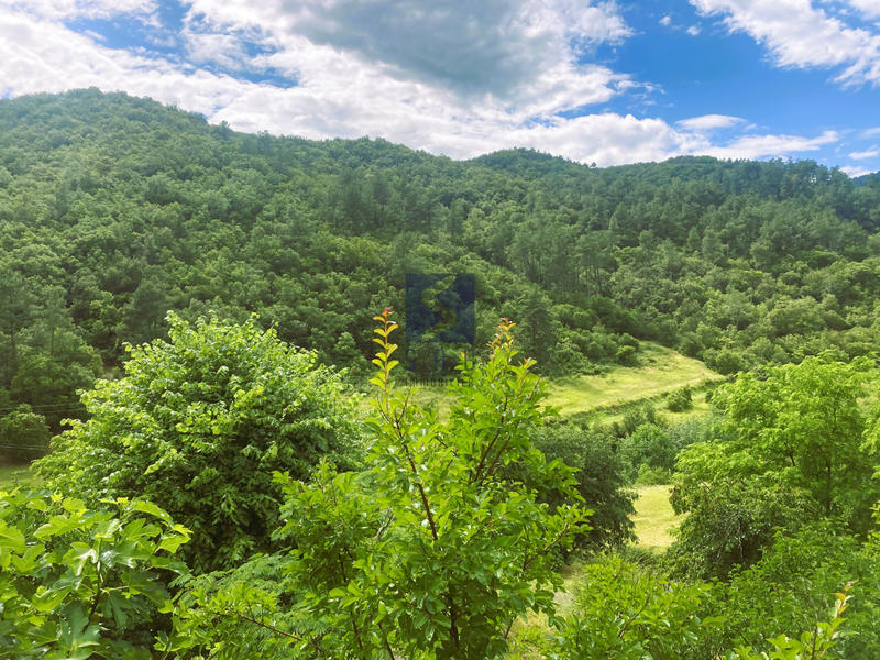 Propriété - 165 m² - 6 pièces