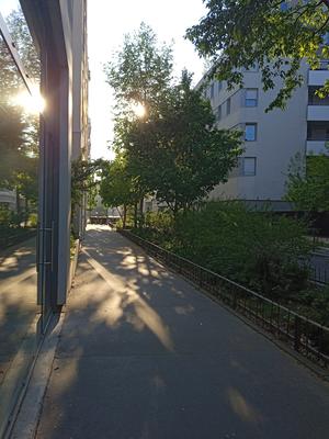 Sahuc Audrey, Psychologue clinicienne