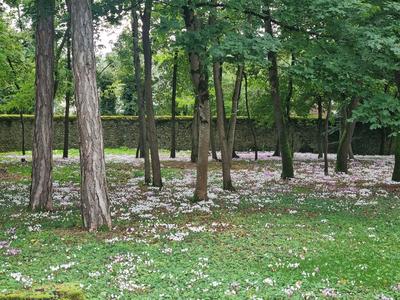 Maison - 210 m² - 7 pièces