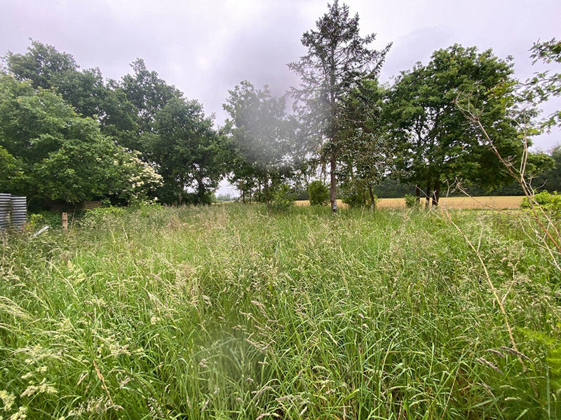 Maison - 56 m² - 2 pièces