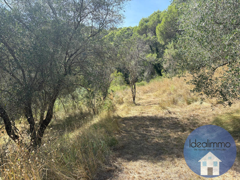 Terrain de loisirs - 20 000 m²