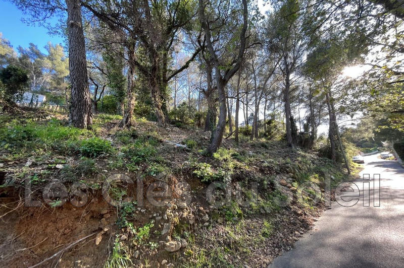 Terrain - 21 500 m²