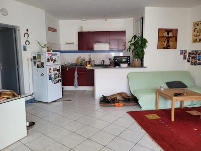 Appartement - 54 m² - 2 pièces