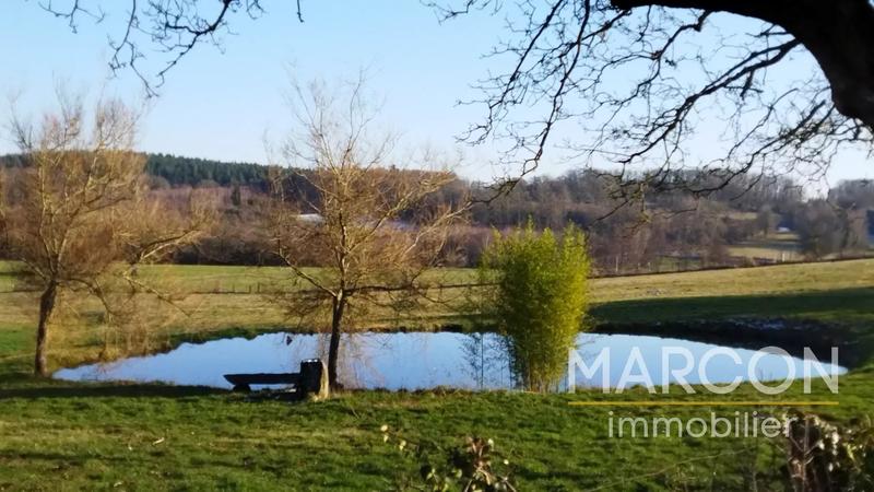 Propriété - 239 m² - 9 pièces