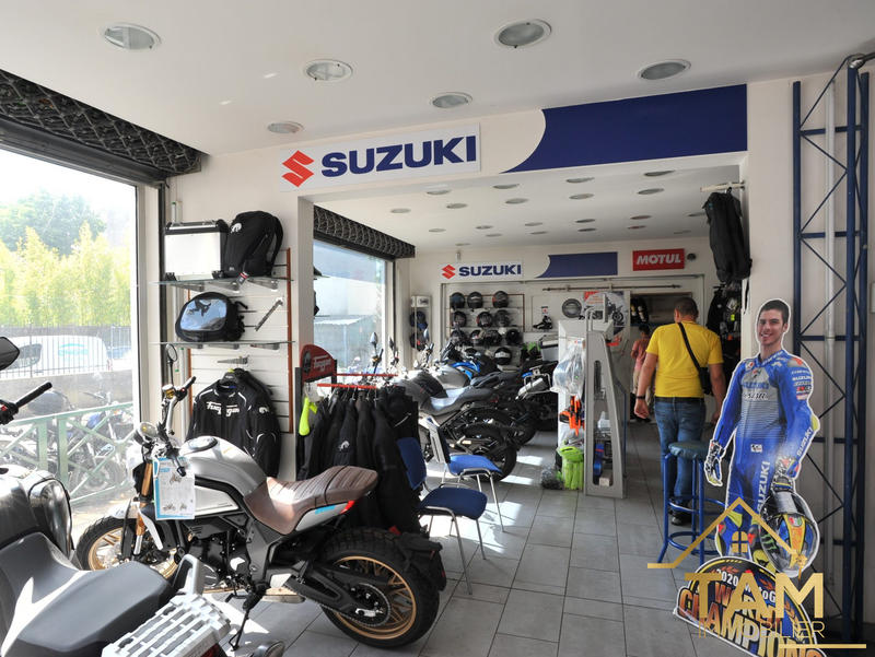 Maison - 335 m² - 10 pièces