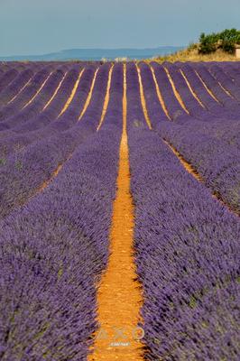 Terrain constructible - 996 m²