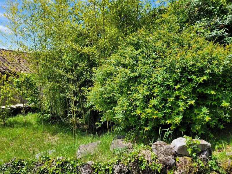 Maison - 181 m² - 4 pièces