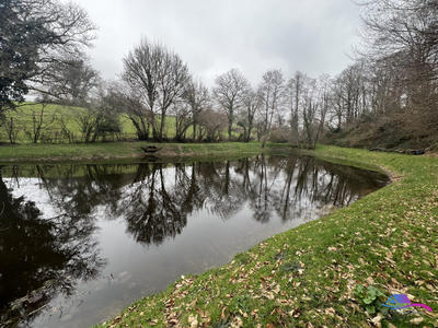 Terrain de loisirs - 5 735 m²