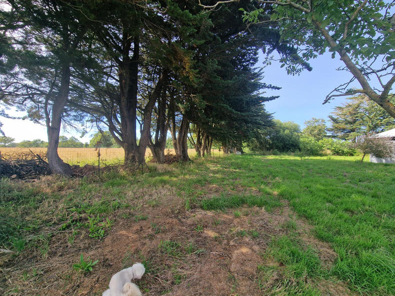 Maison - 168 m² - 6 pièces