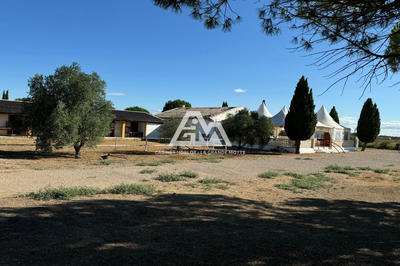 Terrain agricole - 11 000 m²