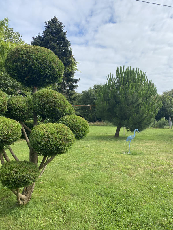 Viager - Maison - 168 m² - 5 pièces