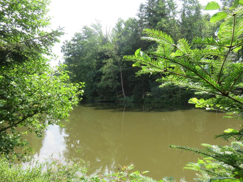 Terrain de loisirs - 4 560 m²