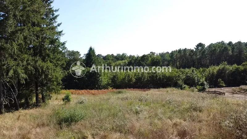 Terrain - 2 921 m²
